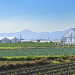 農業経営支援について