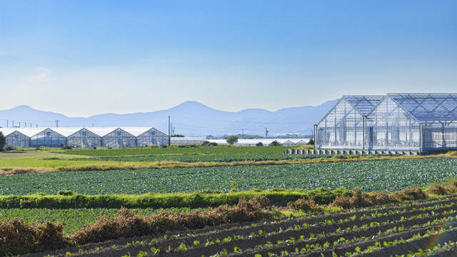 農業経営支援について